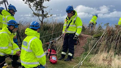 dior falls off a cliff|Dog uninjured after plunging 20m off Devon cliff.